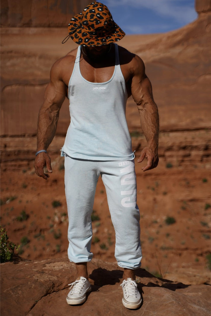 Skylight Golden Stringer