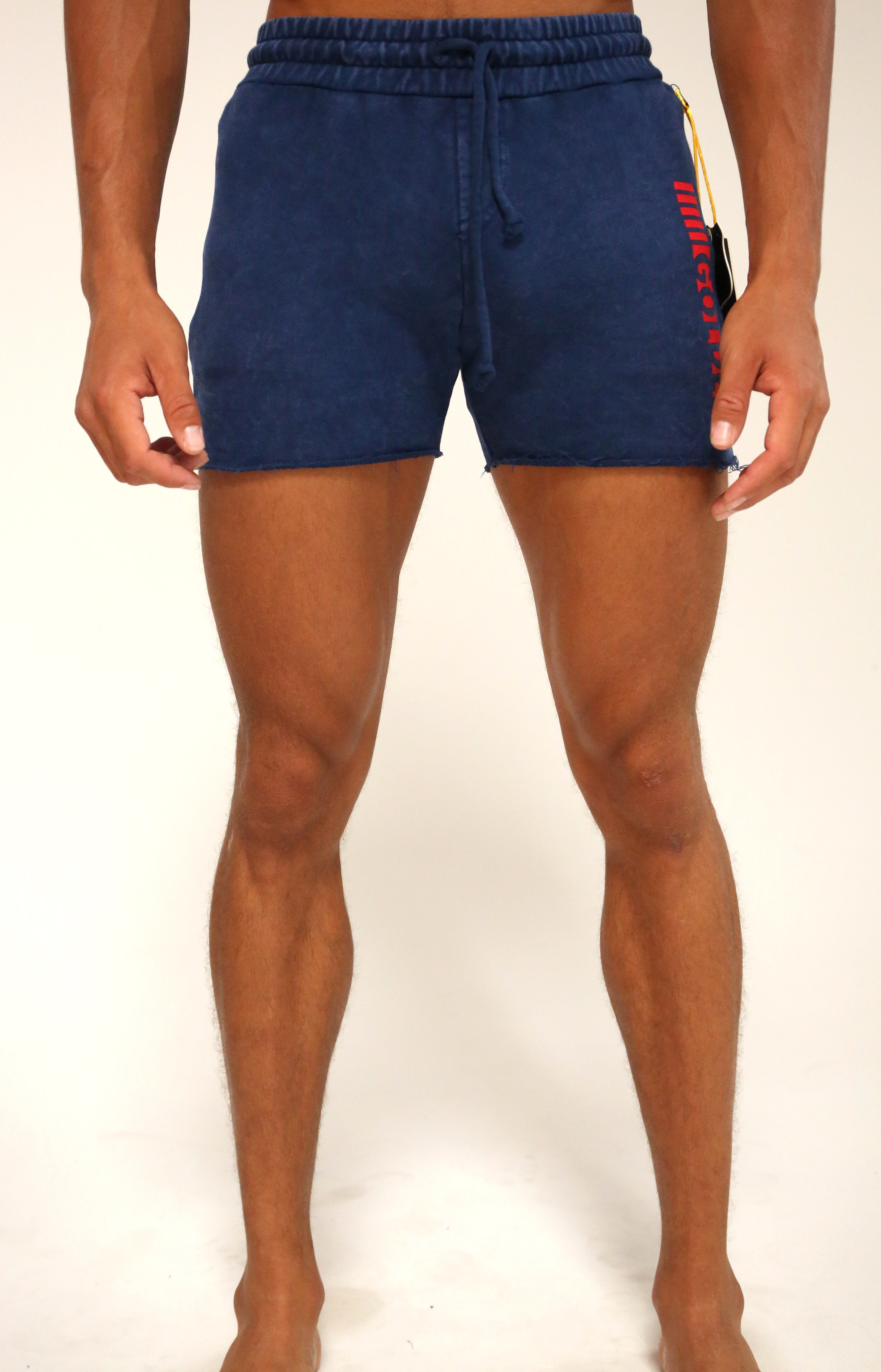 Navy/Red Short CLassic Shorts