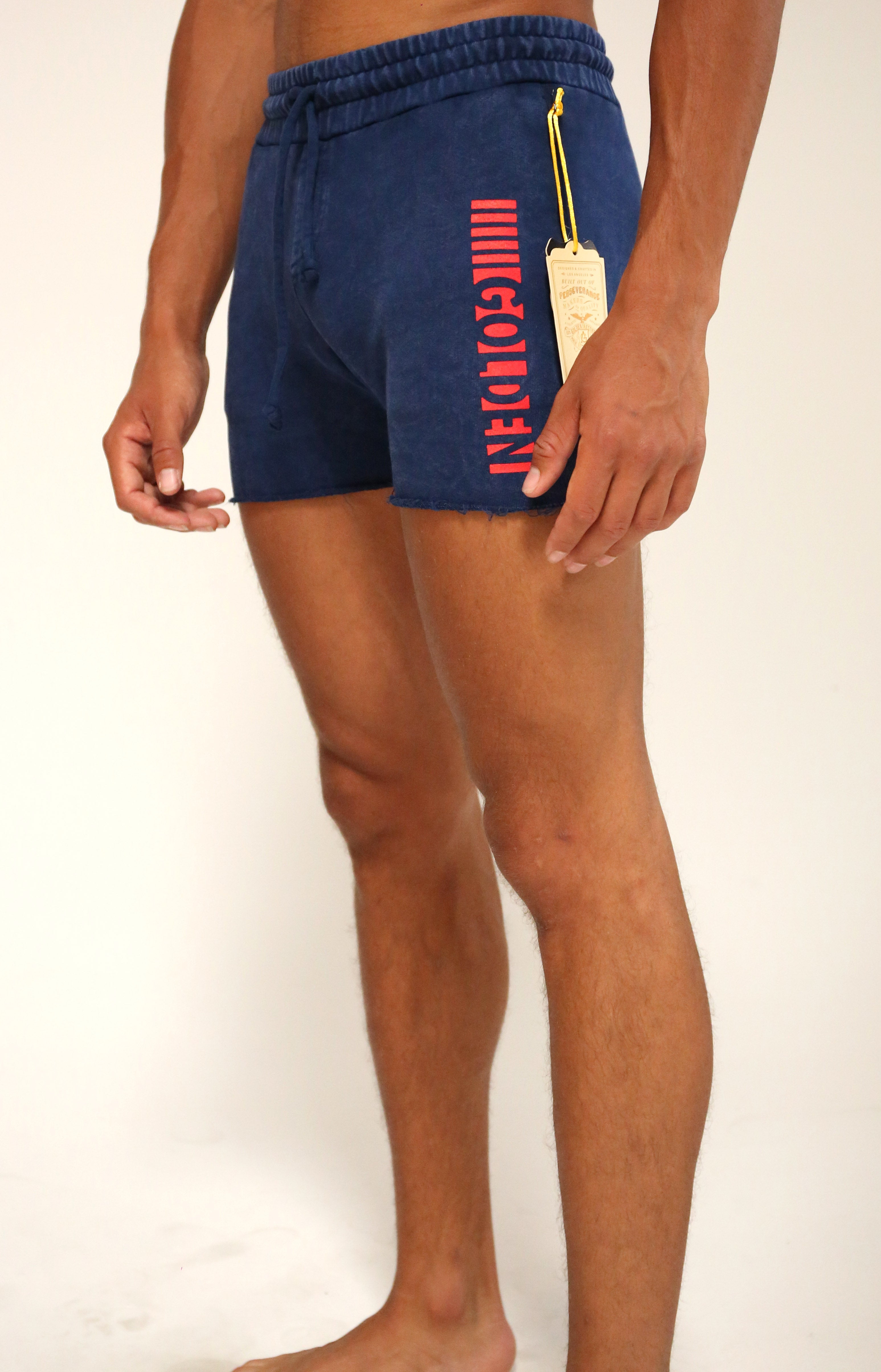 Navy/Red Short CLassic Shorts