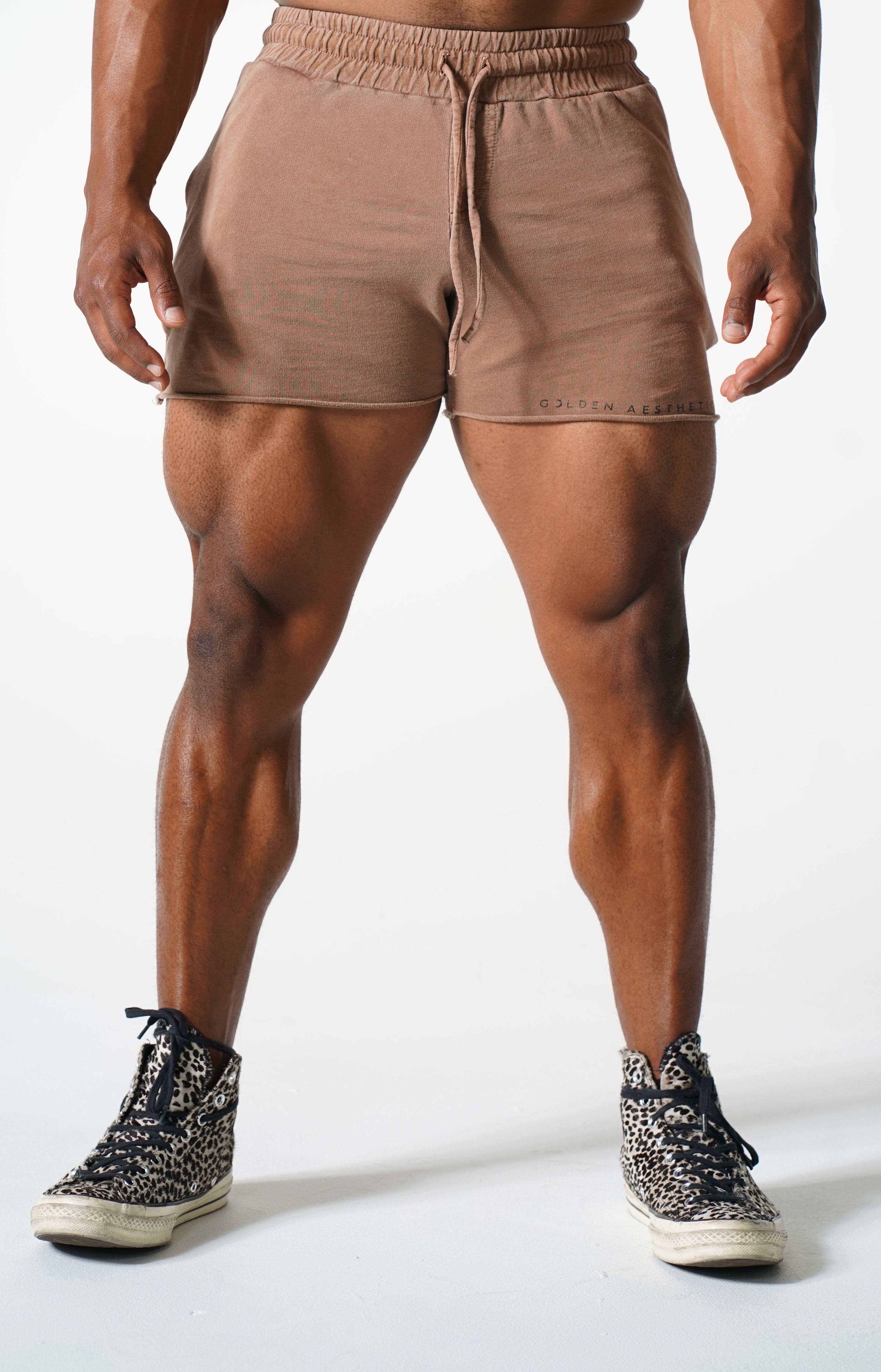 Brown Short CLassic Shorts