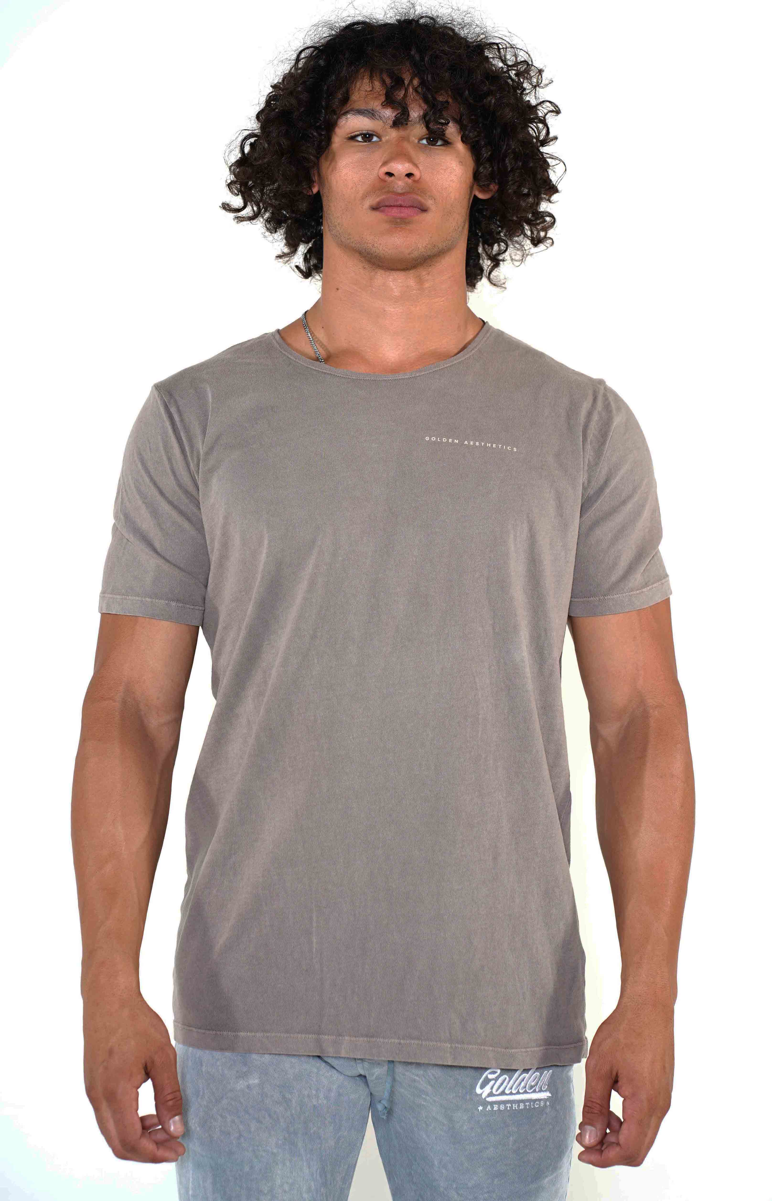 Men's Dust Scoop Neck T-Shirt - Golden Aesthetics