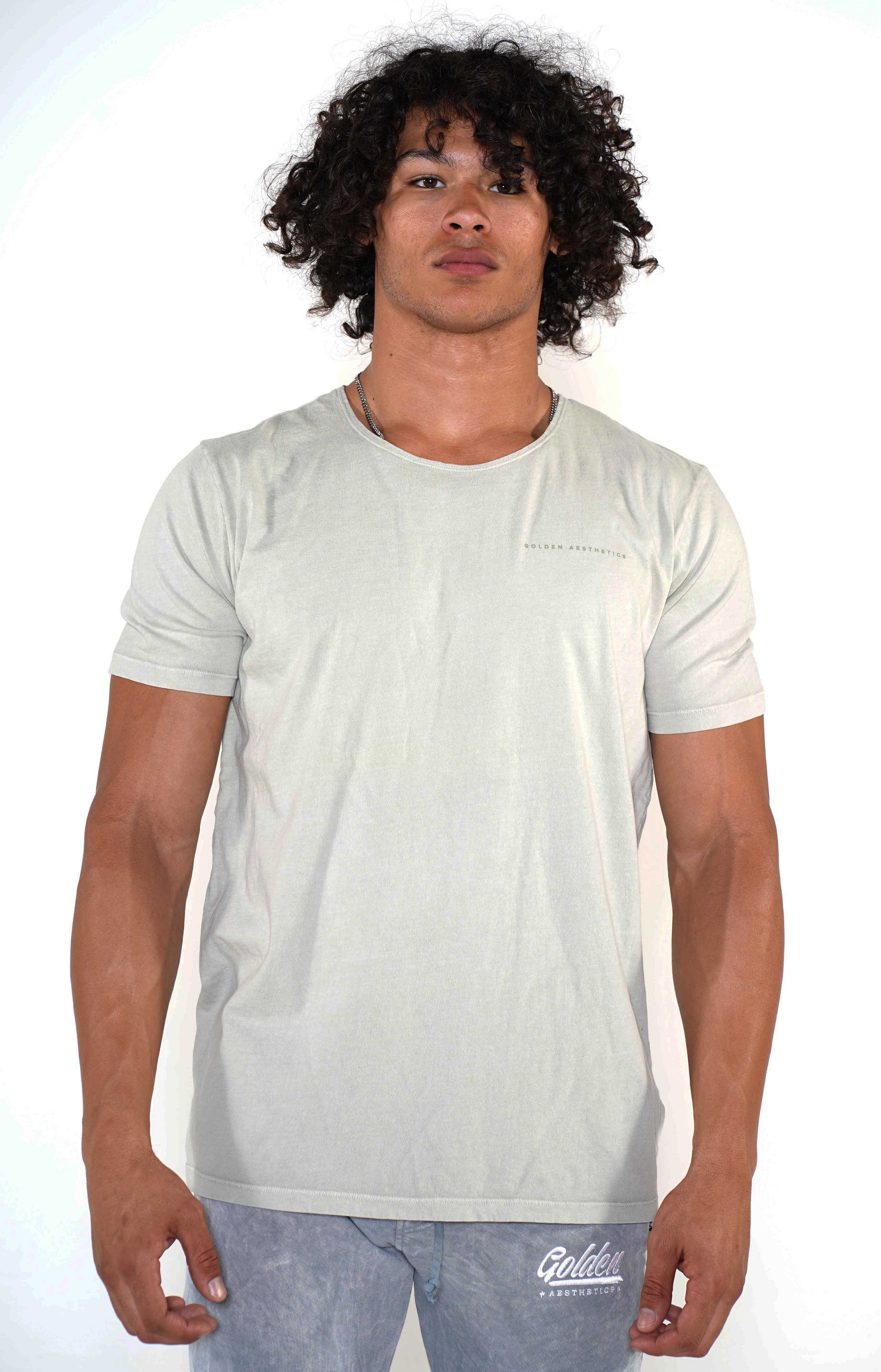 Men's Sage Scoop Neck T-Shirt - Golden Aesthetics