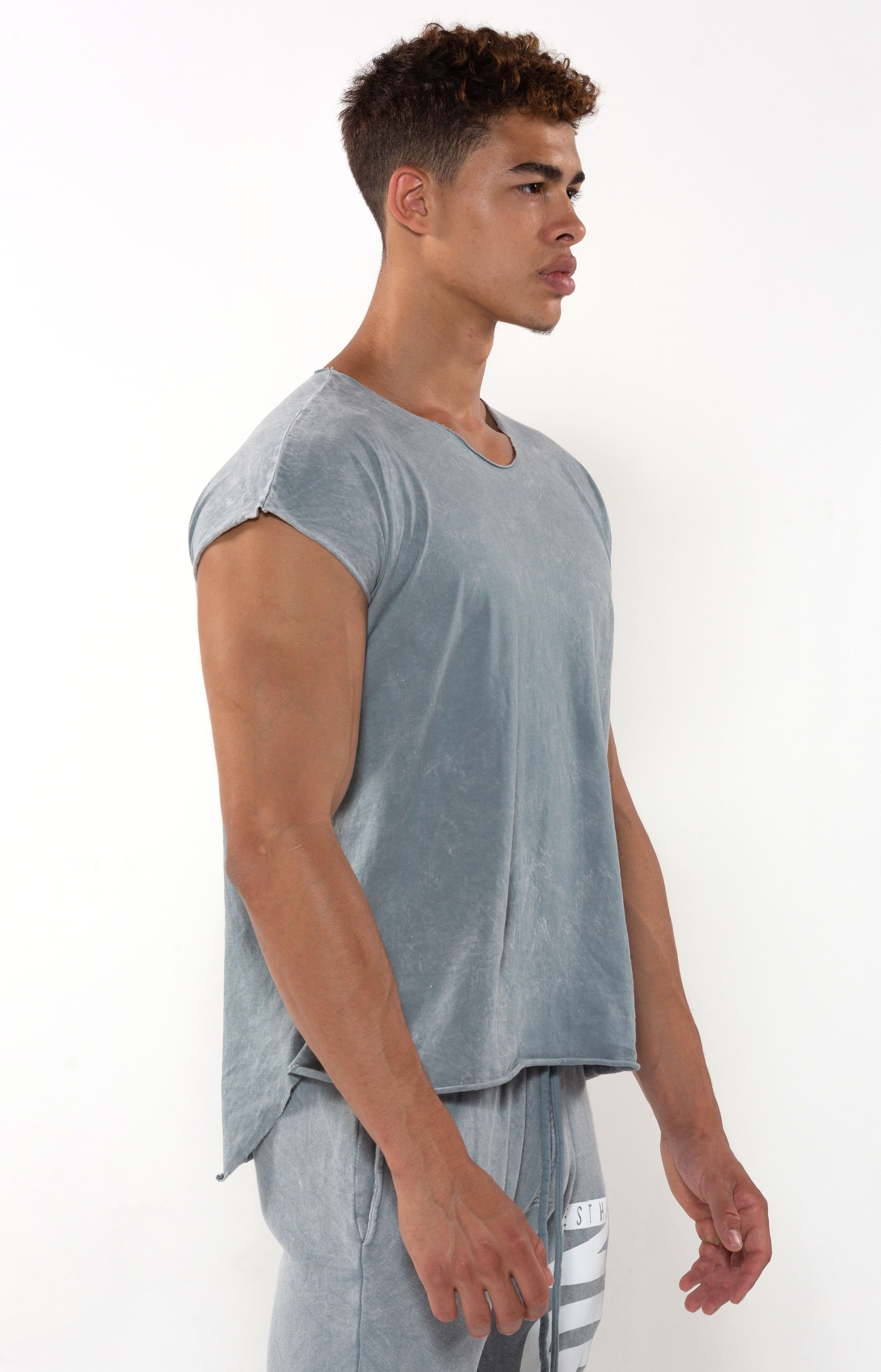Capped Sleeve Vintage Cool Grey T - Golden Aesthetics