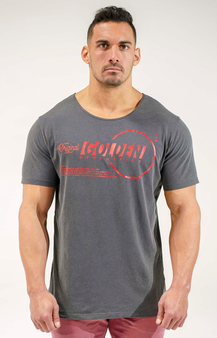 Charcoal Original Scoop Neck T-Shirt